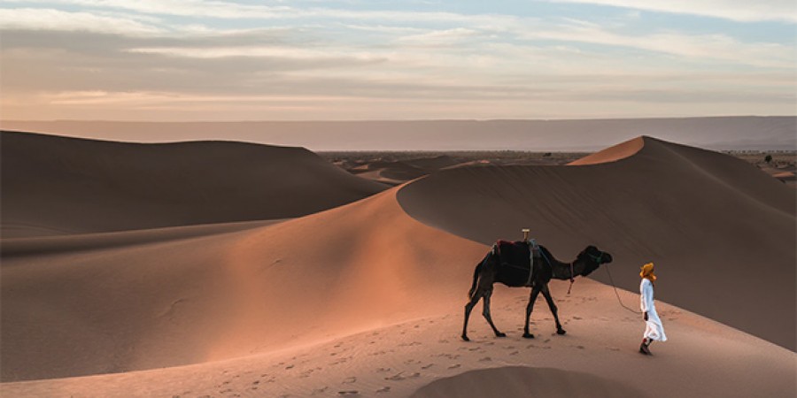 Biomes - Desert